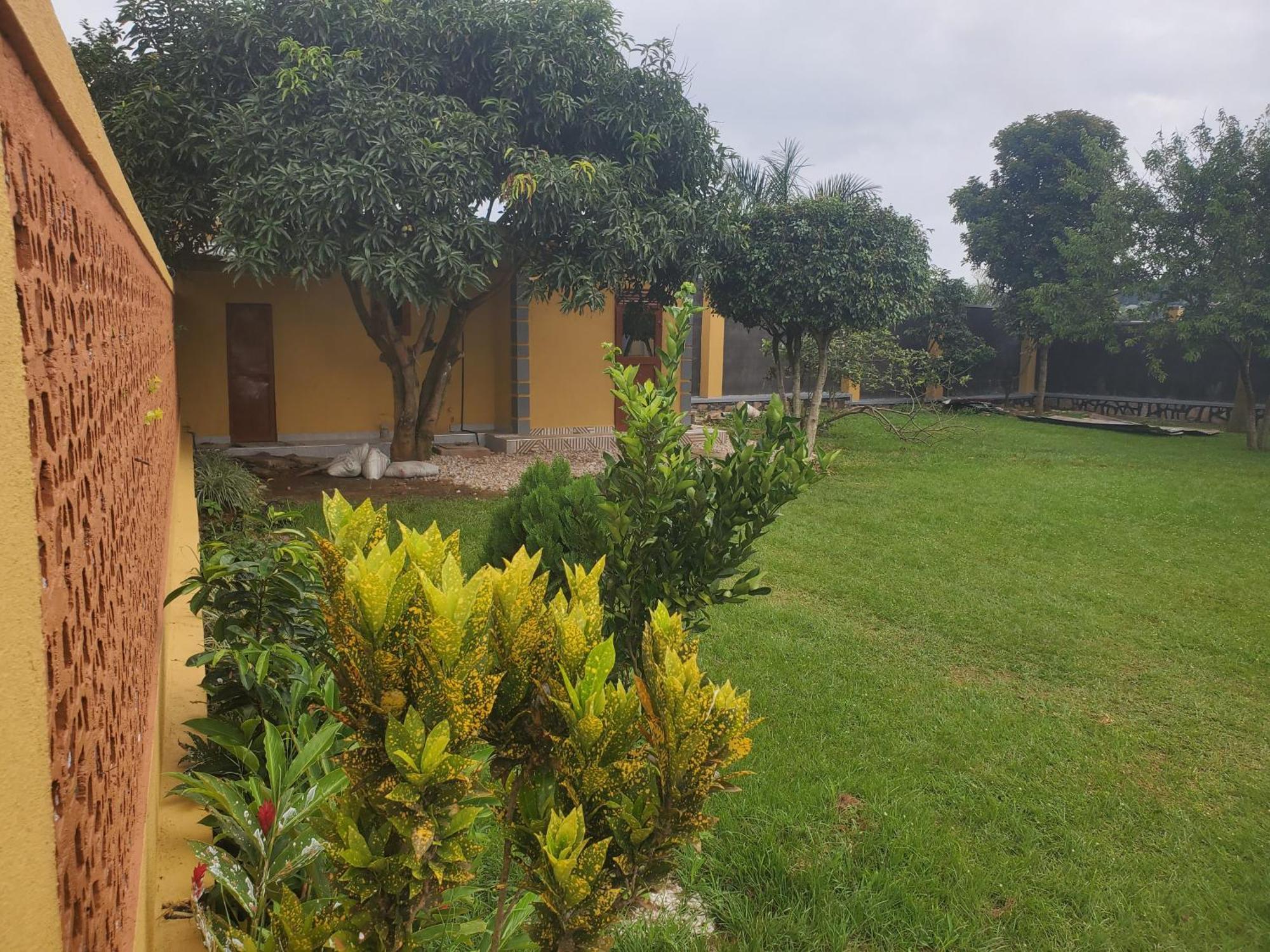 Gorilla African Guest House Entebbe Dış mekan fotoğraf